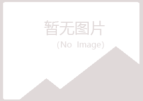 吉林龙潭夏岚建设有限公司